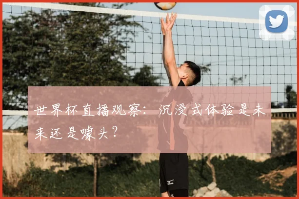 世界杯直播观察:沉浸式体验是未来还是噱头?
