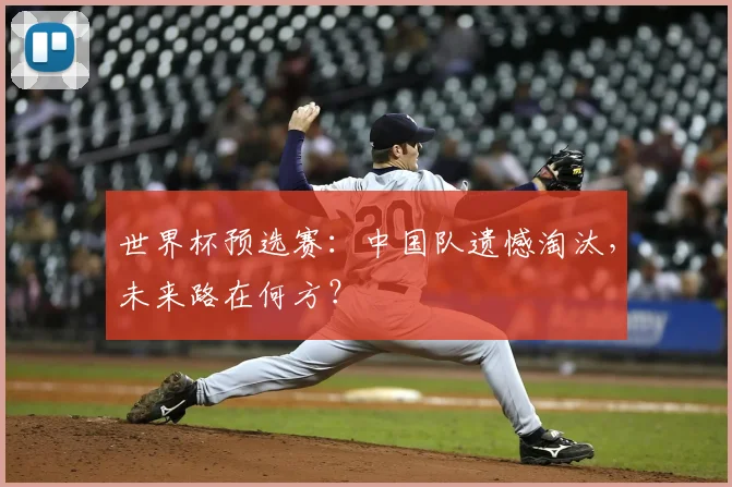 世界杯预选赛:中国队遗憾淘汰,未来路在何方?