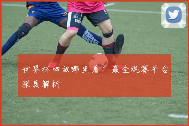 世界杯回放哪里看?最全观赛平台深度解析