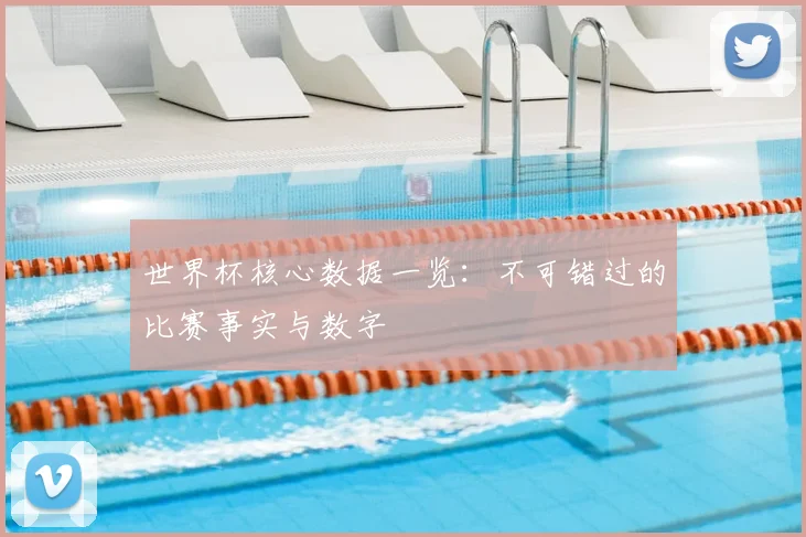 世界杯核心数据一览：不可错过的比赛事实与数字