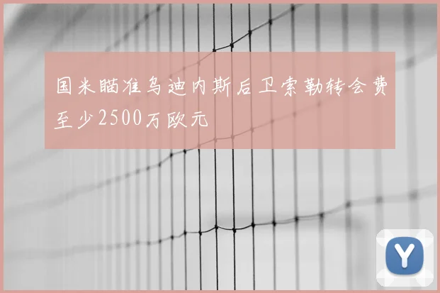 国米瞄准乌迪内斯后卫索勒转会费至少2500万欧元