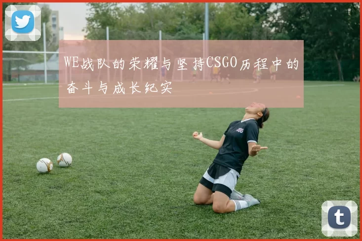 WE战队的荣耀与坚持CSGO历程中的奋斗与成长纪实