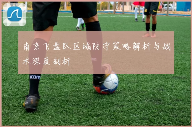 南京飞盘队区域防守策略解析与战术深度剖析
