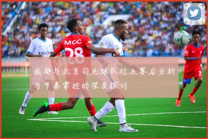 成都与北京羽毛球队对决赛后分析与节奏掌控的深度探讨