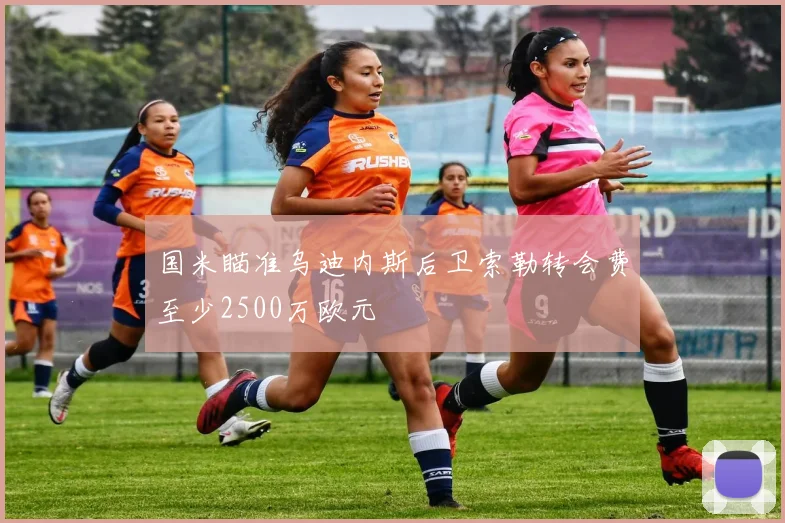 国米瞄准乌迪内斯后卫索勒转会费至少2500万欧元