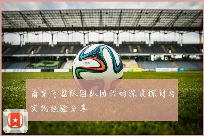 南京飞盘队团队协作的深度探讨与实践经验分享