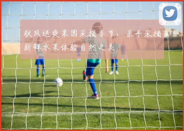 秋风送爽果园采摘季节，亲手采摘新鲜水果体验自然之美