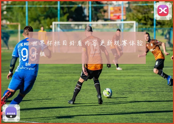 世界杯栏目好看内容更新观赛体验升级