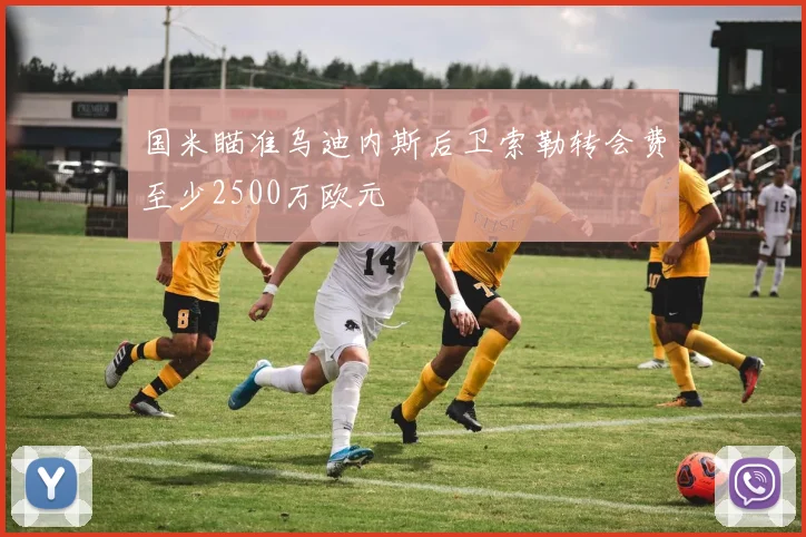 国米瞄准乌迪内斯后卫索勒转会费至少2500万欧元