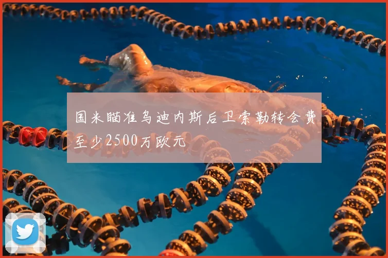 国米瞄准乌迪内斯后卫索勒转会费至少2500万欧元