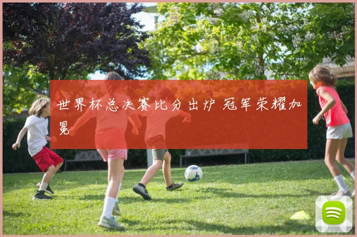 世界杯总决赛比分出炉 冠军荣耀加冕