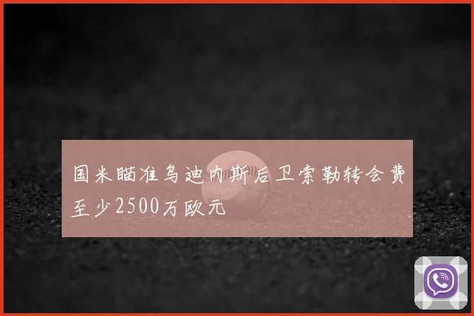 国米瞄准乌迪内斯后卫索勒转会费至少2500万欧元