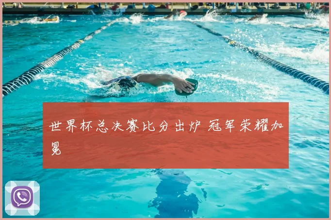 世界杯总决赛比分出炉 冠军荣耀加冕