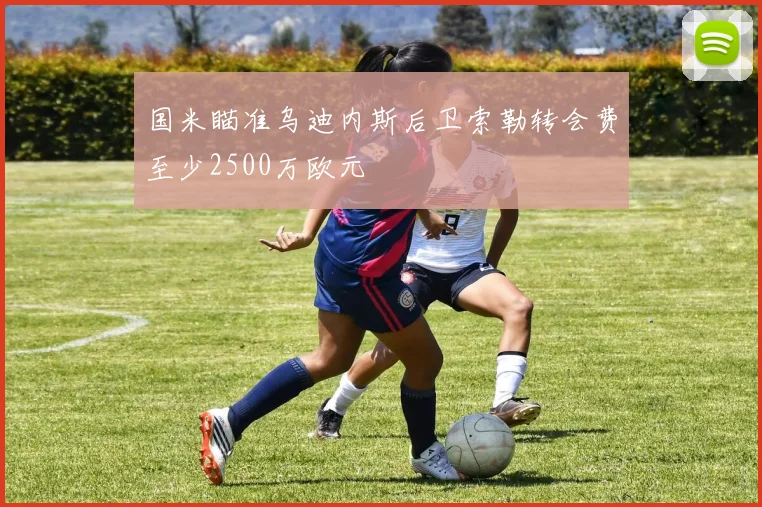 国米瞄准乌迪内斯后卫索勒转会费至少2500万欧元