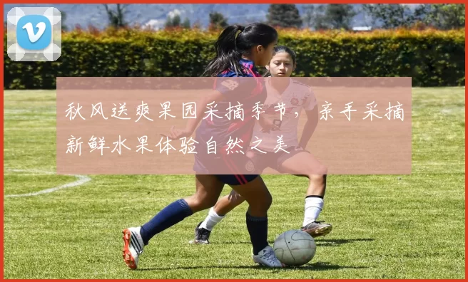 秋风送爽果园采摘季节，亲手采摘新鲜水果体验自然之美