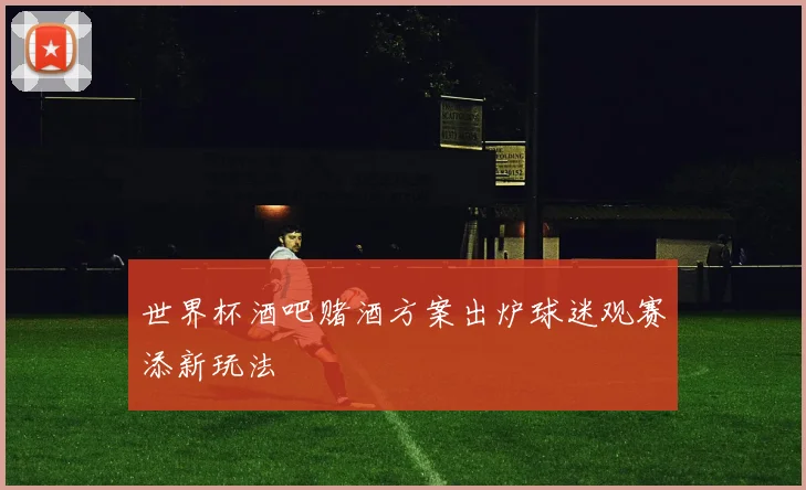 世界杯酒吧赌酒方案出炉球迷观赛添新玩法