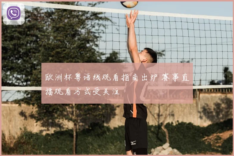 欧洲杯粤语线观看指南出炉 赛事直播观看方式受关注