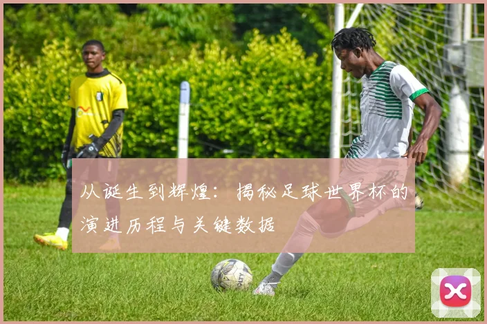 从诞生到辉煌:揭秘足球世界杯的演进历程与关键数据
