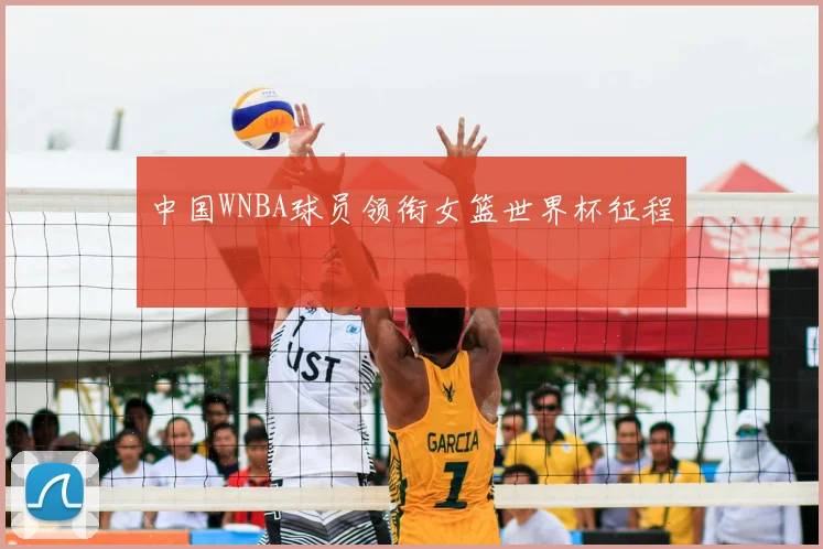 中国WNBA球员领衔女篮世界杯征程