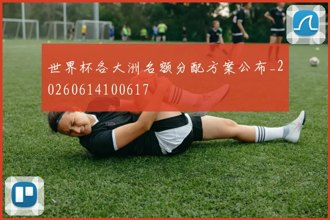 世界杯各大洲名额分配方案公布_20260614100617
