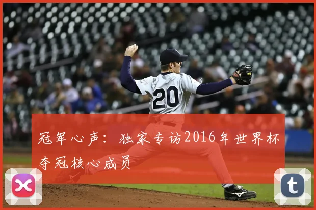 冠军心声:独家专访2016年世界杯夺冠核心成员
